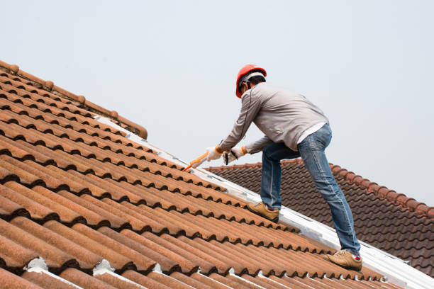 Best Solar Panel Roofing Installation  in Bokeelia, FL
