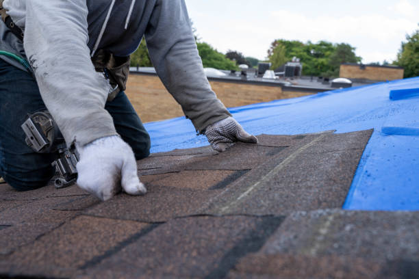 Best Roof Ventilation Installation  in Bokeelia, FL